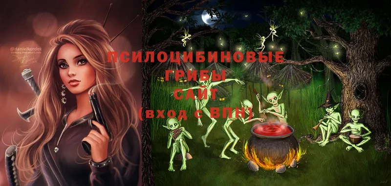 Галлюциногенные грибы Magic Shrooms  Аша 